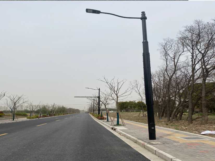 岗巴县上海综合杆 太阳能路灯工程